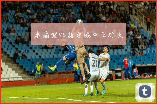 水晶宫vs赫尔城中卫对决