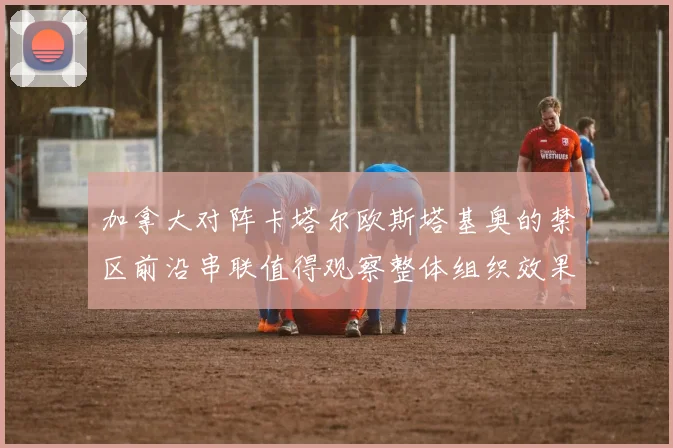加拿大对阵卡塔尔欧斯塔基奥的禁区前沿串联值得观察整体组织效果