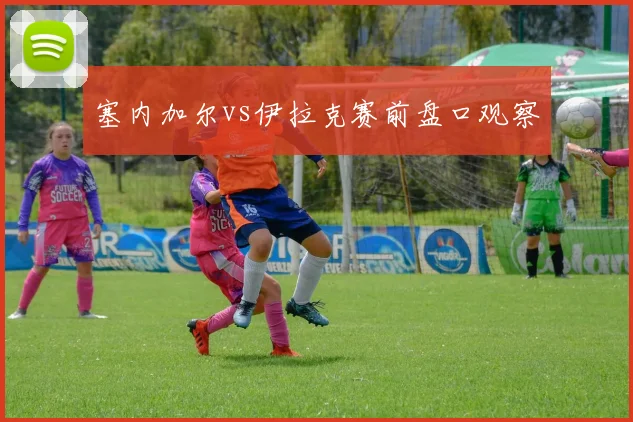 塞内加尔vs伊拉克赛前盘口观察