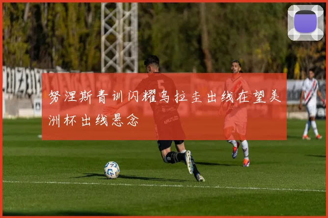 努涅斯青训闪耀乌拉圭出线在望美洲杯出线悬念