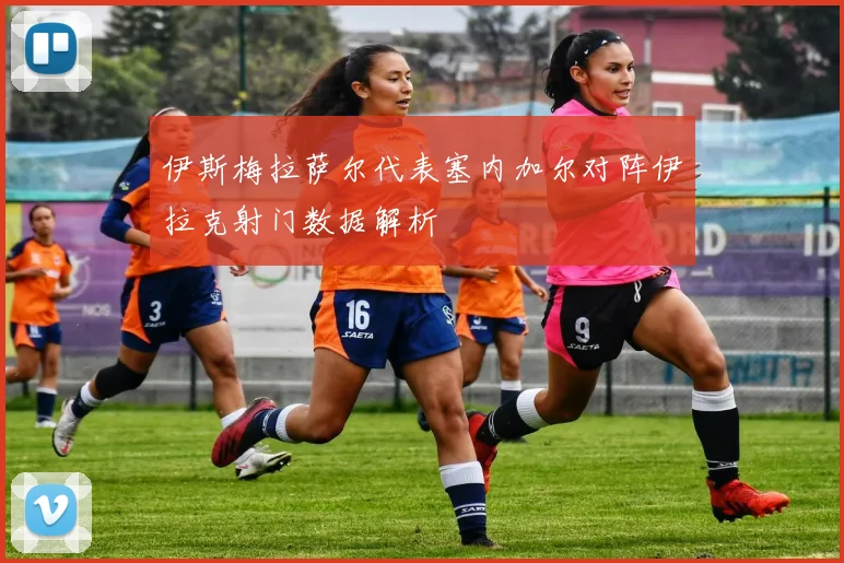 伊斯梅拉萨尔代表塞内加尔对阵伊拉克射门数据解析